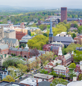 Connecticut Zoho Books Accountant
